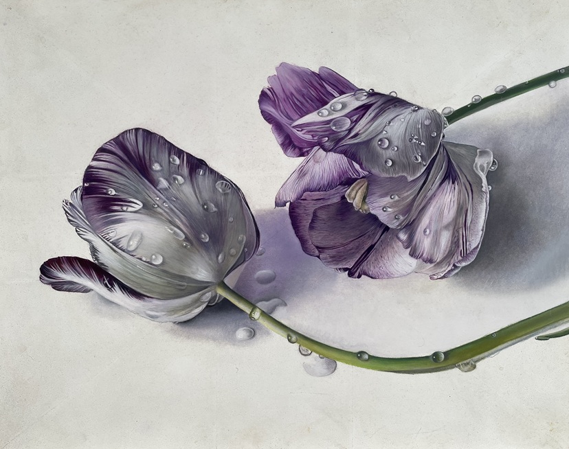 Broken Tulips, 2022 – Botanical oil painting on panel, 28 x 35 cm – Ginny Page